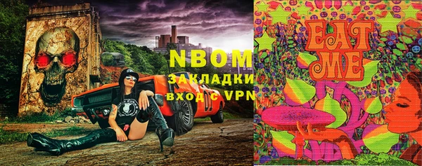 mix Богородицк